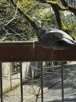 IMG_2147.jpeg