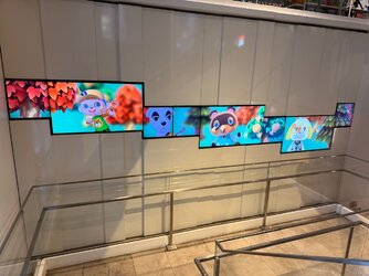 IMG_6976.jpeg
