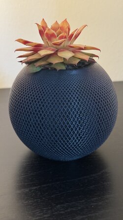 IMG_5209.jpeg