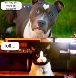 IMG_0361.jpeg