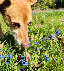 It might be spring?