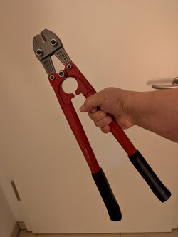 PXL_20250503_165129800.jpg