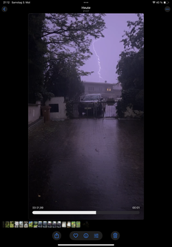 IMG_0505.png
