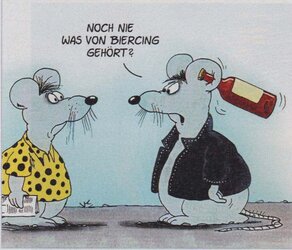 Bild 1.jpg