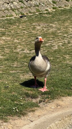 IMG_9894.jpeg
