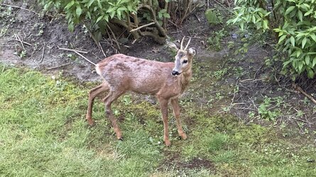 IMG_6131.jpeg
