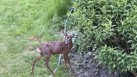 IMG_6128.jpeg