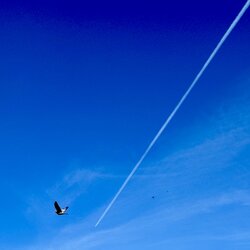 IMG_0609.jpeg
