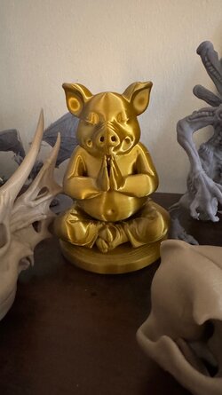 IMG_5478.jpeg