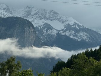 IMG_2809.jpeg