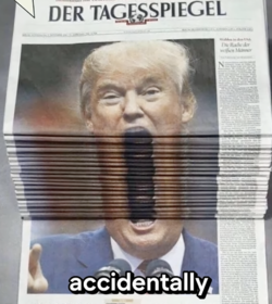 1747515335565.png