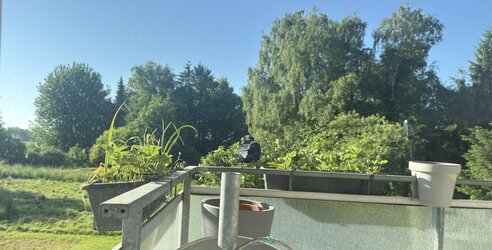 IMG_6156.jpeg