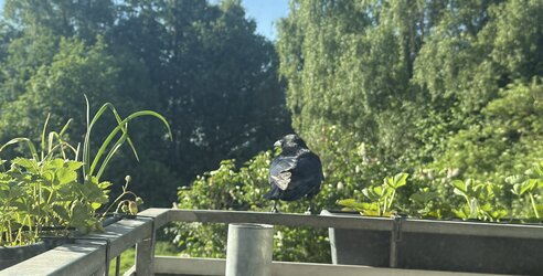 IMG_6156.jpeg