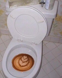 IMG_0379.jpeg