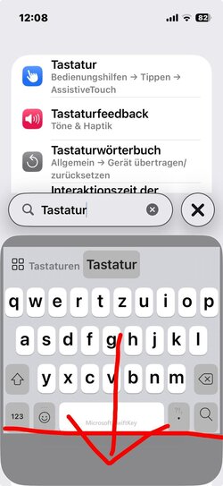 Bug Tastatur.jpg
