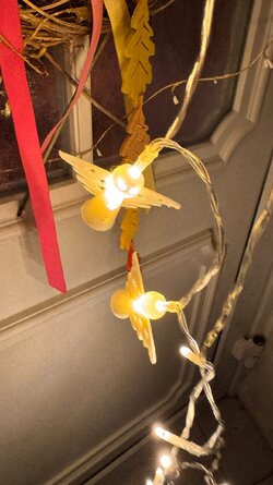 IMG_7980.JPEG