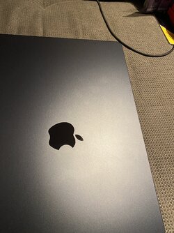 IMG_4090.jpeg IMG_4090.jpeg