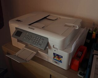 IMG_4500.jpeg IMG_4500.jpeg