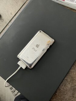 IMG_0353.jpeg IMG_0353.jpeg
