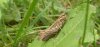 DSCN1492.jpg