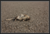 Bild 5.png