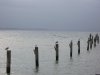 IMGP2422.jpg