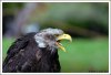DSC_0524.jpg