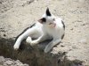 DSCF0956.jpg
