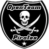 LogoTeam336494.PNG.png