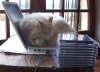 100_3042.jpg