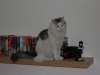 DSCN2604.JPG