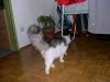 DSCN2752.JPG