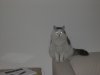 DSCN2599.JPG