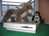 IMG_3053maczoo.jpg