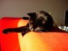 DSC01430.jpg