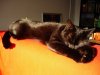 DSC01412.jpg
