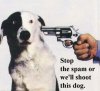 spamdog.jpg