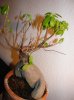 DSCF1357.jpg