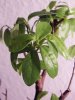 DSCF1360.jpg