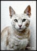 © by Grischa Erbe -  6.jpg