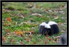 DSC_0895_2.jpg