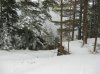 IMG_0281.jpg