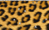 Bild 2.png