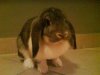 DSC00283.jpg