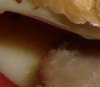 DSC01723.JPG