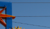 Picture 1.png