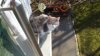 DSC00188.jpg