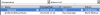 Bild 1.png