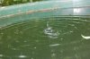 DSC_0124.jpg