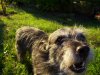 100_2048.jpg